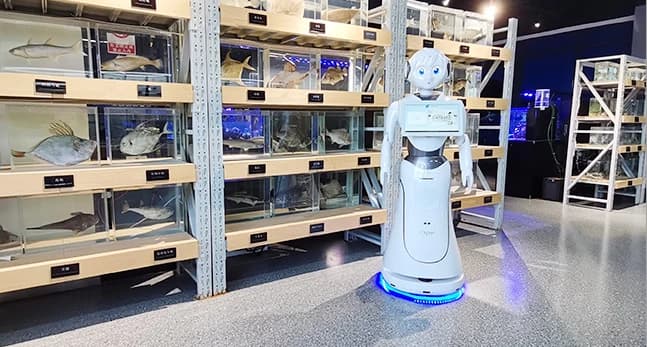 Alice AI Service Robot thumbnail 4