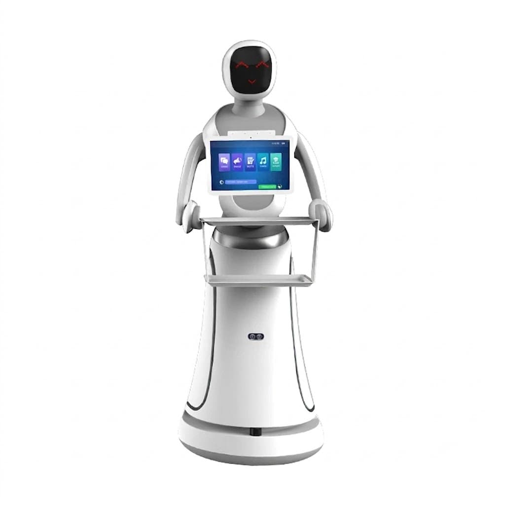Amy delivery robot